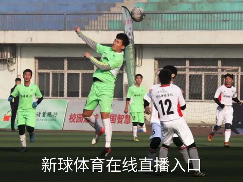 即时比分-比分直播-足球比分直播-新球体育-探球体育